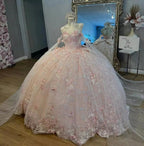 Gorgeous Pink Applique Ball Gowns Tulle Lace Off-The-Shoulder Long Quinceanera Dresses Tulle Sweet Birthday Dresses