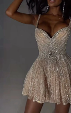 Gorgeous Tulle Beaded A Line Cocktail Dresses Champagne Short Homecoming Dresses
