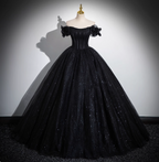 Gothic Court Black Off-The-Shoulder Shimmer Tulle Ball Gown Prom Dresses Sweet 16 Dresses