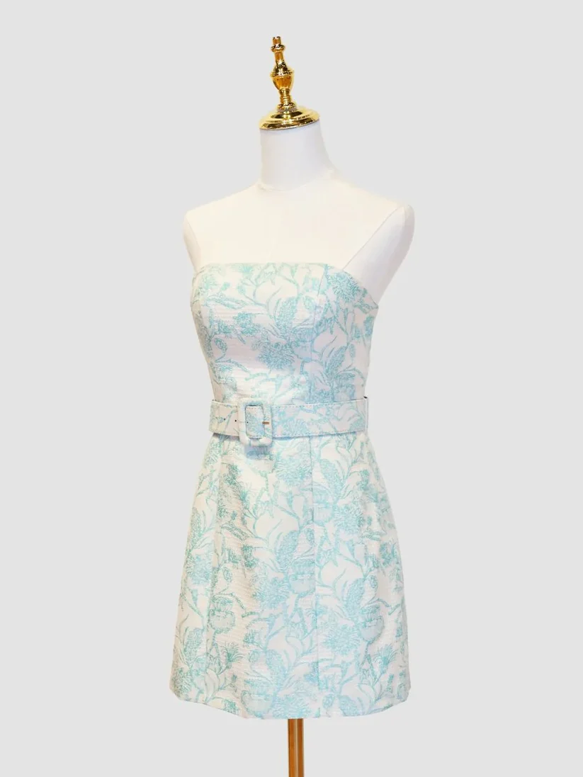 Homecoming Pictures, Cute Hoco Dresses Bodycon Party Dresses Homecoming Dresses
