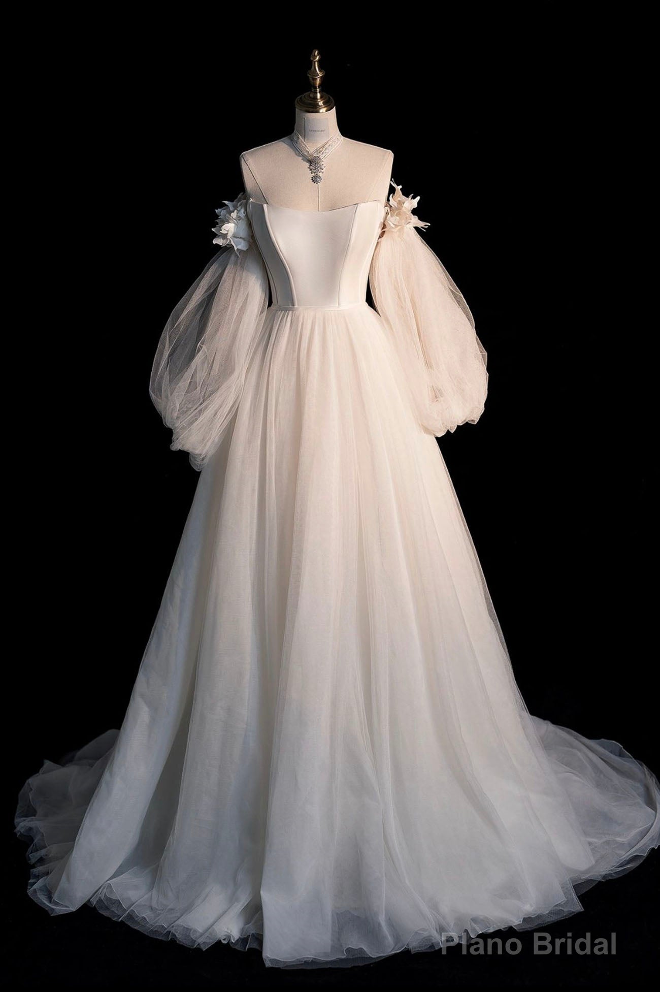 Champagne Tulle Long Sleeve Prom Dress, Off the Shoulder Evening Dress Main image