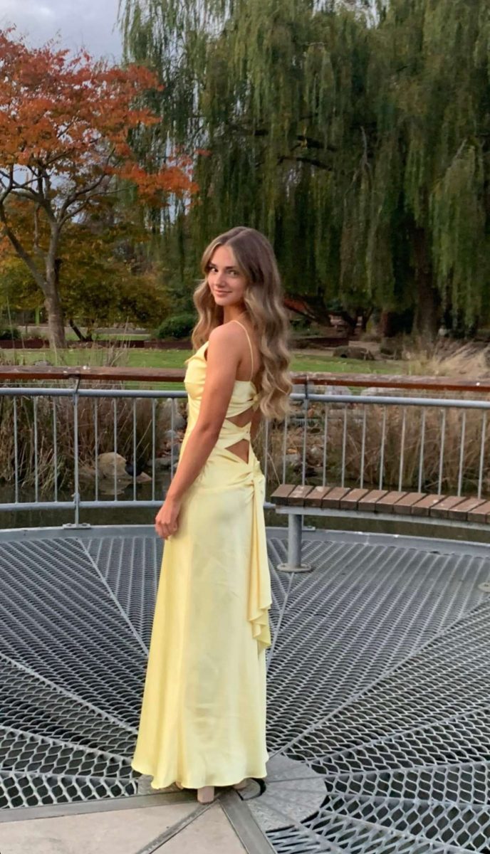 Yellow Fashion Elegant Satin Backless Long Spaghetti Straps Formal Evening Gown Formal Prom Dresses