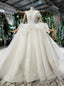 Light Champagne Tulle Appliques V-neck Backless Luxury Wedding Dress