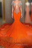 Mermaid V-neck Beaded Sequined Floor-length Long Sleeves With Feather Formal Prom Dress