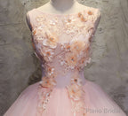 Pink Ball-Gown Organza Floor-Length Prom Dress with Appliqued