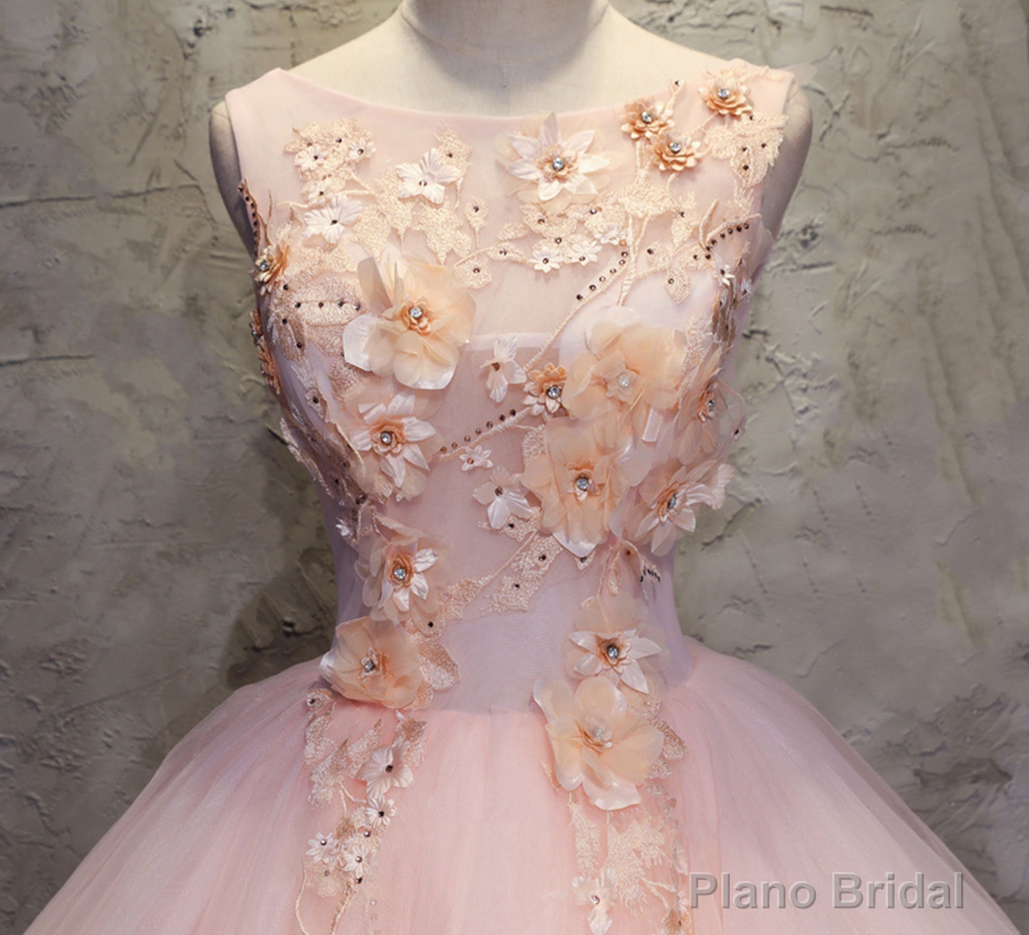 Pink Ball-Gown Organza Floor-Length Prom Dress with Appliqued