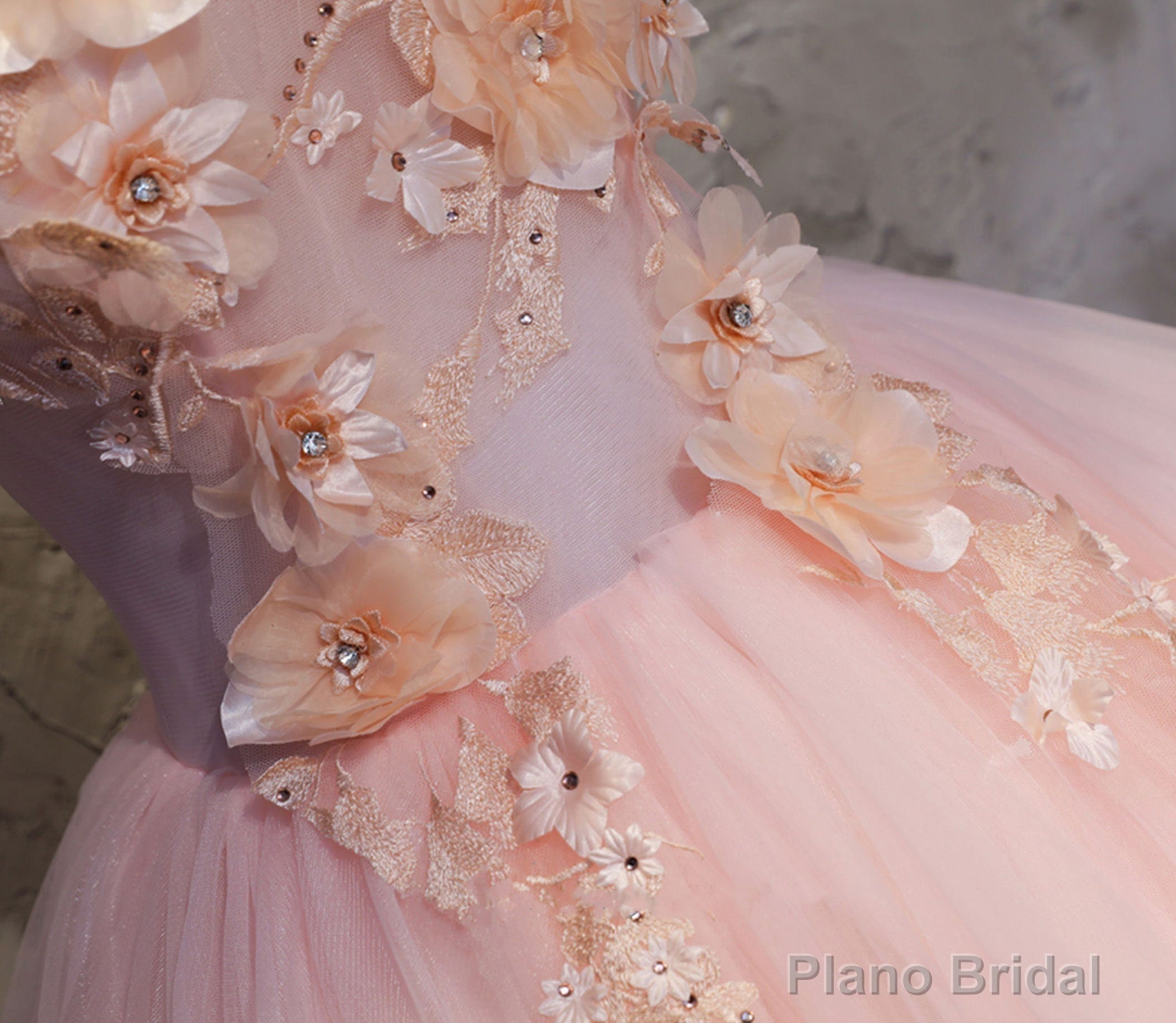 Pink Ball-Gown Organza Floor-Length Prom Dress with Appliqued