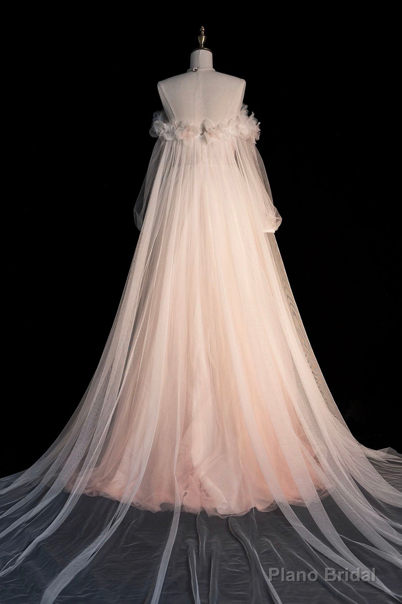 Pink Gradient Tulle Long A-Line Prom Dress, Long Sleeve Evening Party Dress Main image