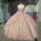 Pink Sparkly Quinceanera Formal Prom Dresses Lace Flower Sweet 16 Tulle Party Ball Gown