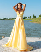 D1070,Popular Yellow Formal Evening Dresses,Long Formal Prom Dresses,Cross Back Formal Prom Dresses