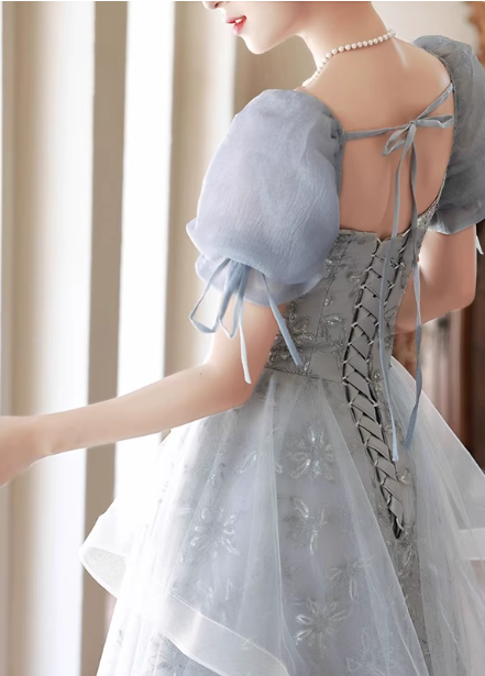 Princess Slate Blue A-Line Puff Sleeve Embroidered Tulle Long Formal Prom Dresses
