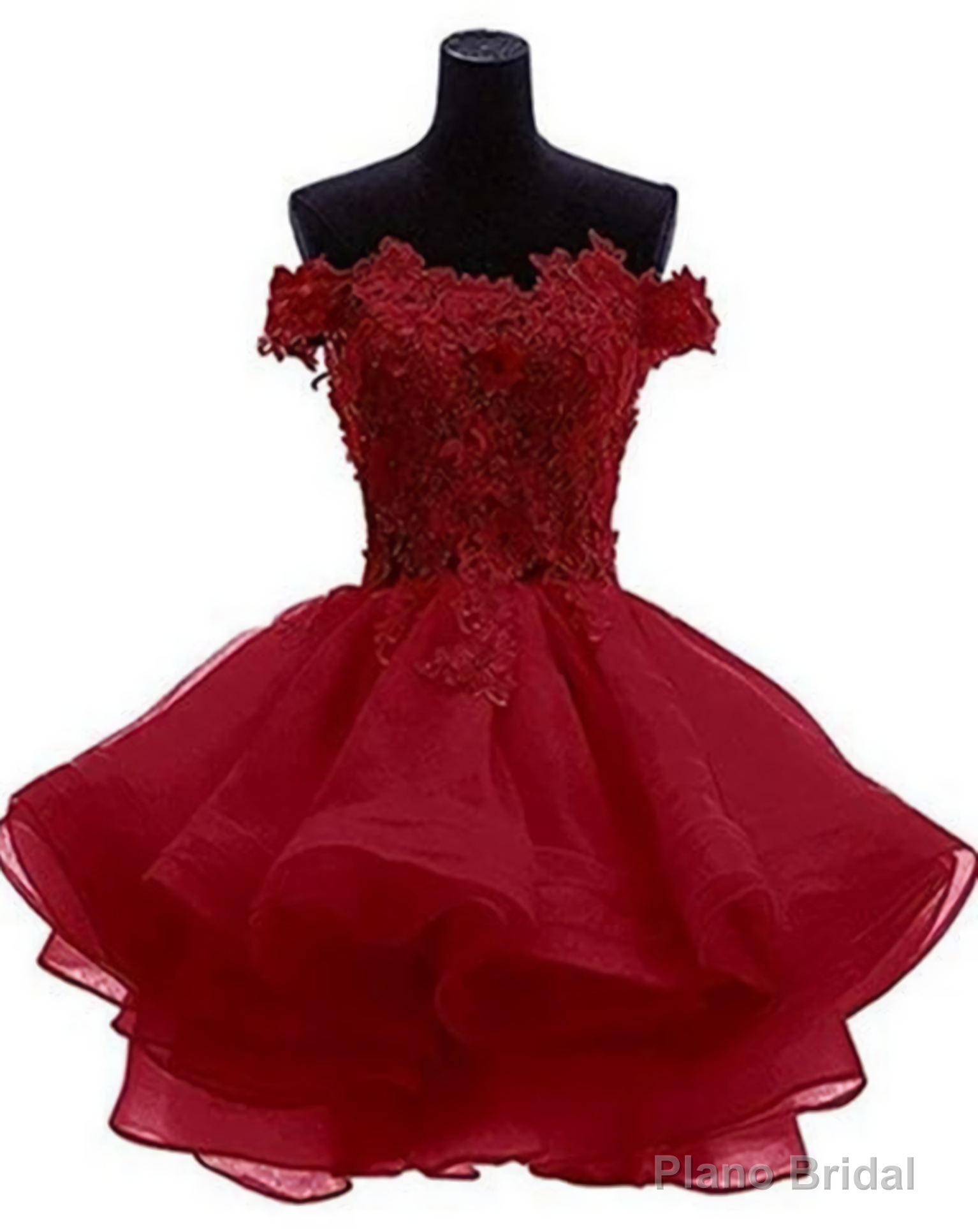 Cute Organza Short with Lace Applique Party Dresses Main image