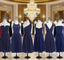 Short Navy Blue Chiffon Mismatch Maid Of Honor Girls Group In Knee Length Simple Cheap Formal Prom Dresses