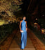Sexy Sheath Blue Formal Evening Gown Formal Prom Party Dresses