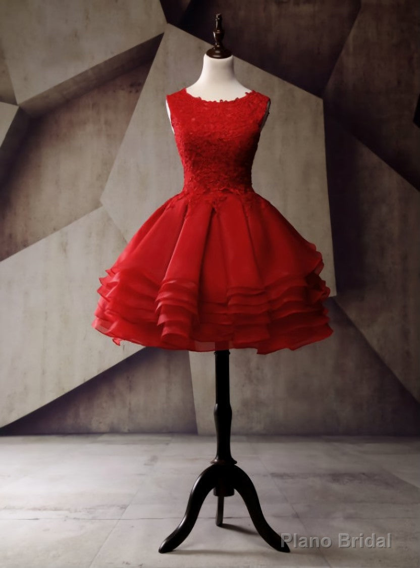 Short Homecoming Dress Organza Homecoming Dress Lace Homecoming Dress Main image