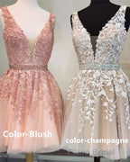 Short V-neck Tulle Formal Prom Homecoming Dresses Lace Embroidery