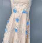 Sweet A-Line 3D Floral Embroidery Tulle Long Formal Prom Dresses
