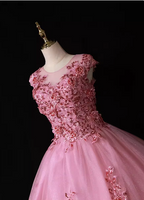 Sweet Princess Pink Crew Neck Embroidered Tulle Long Formal Prom Dresses