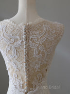 Timeless Mermaid V Neckline White Lace Wedding Dresses Bridal Dresses
