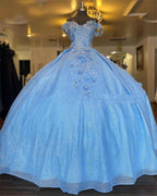 Tulle Princess Off Shoulder Long Formal Prom Dresses, Long Strapless Pink Flower Appliqu¨¦S Formal Evening Dresses
