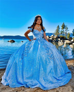 Tulle Princess Off Shoulder Long Formal Prom Dresses, Long Strapless Pink Flower Appliqu¨¦S Formal Evening Dresses