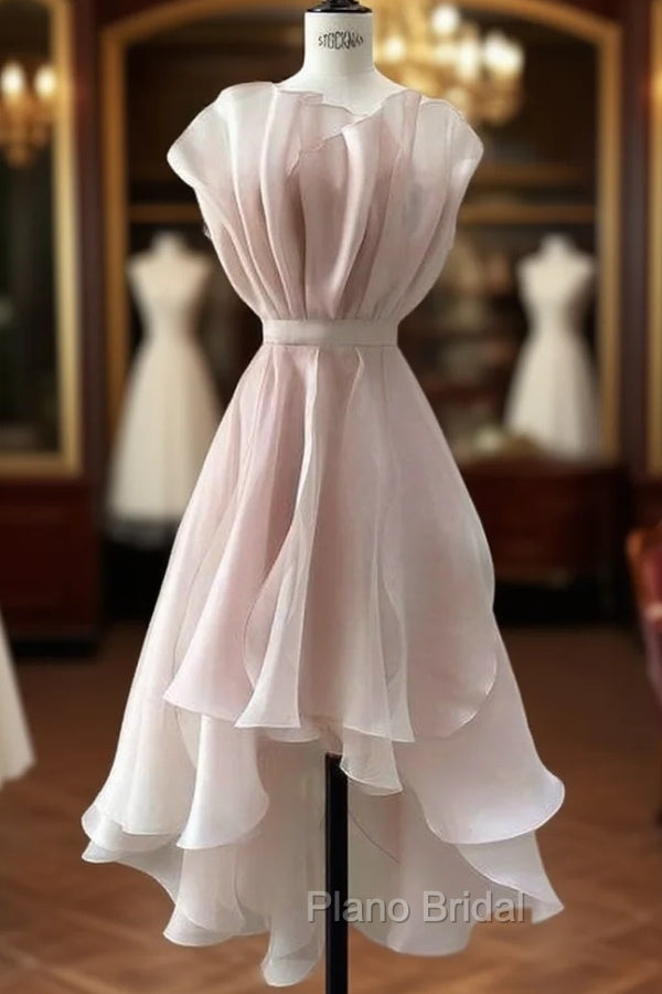 Vintage A-Line Organza Pink Homecoming Dresses 18Th Birthday Outfits Main image