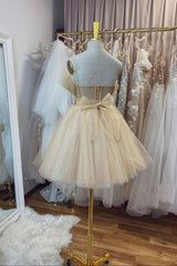Cute Tulle Short Prom Dresses, A-Line Homecoming Party Dresses